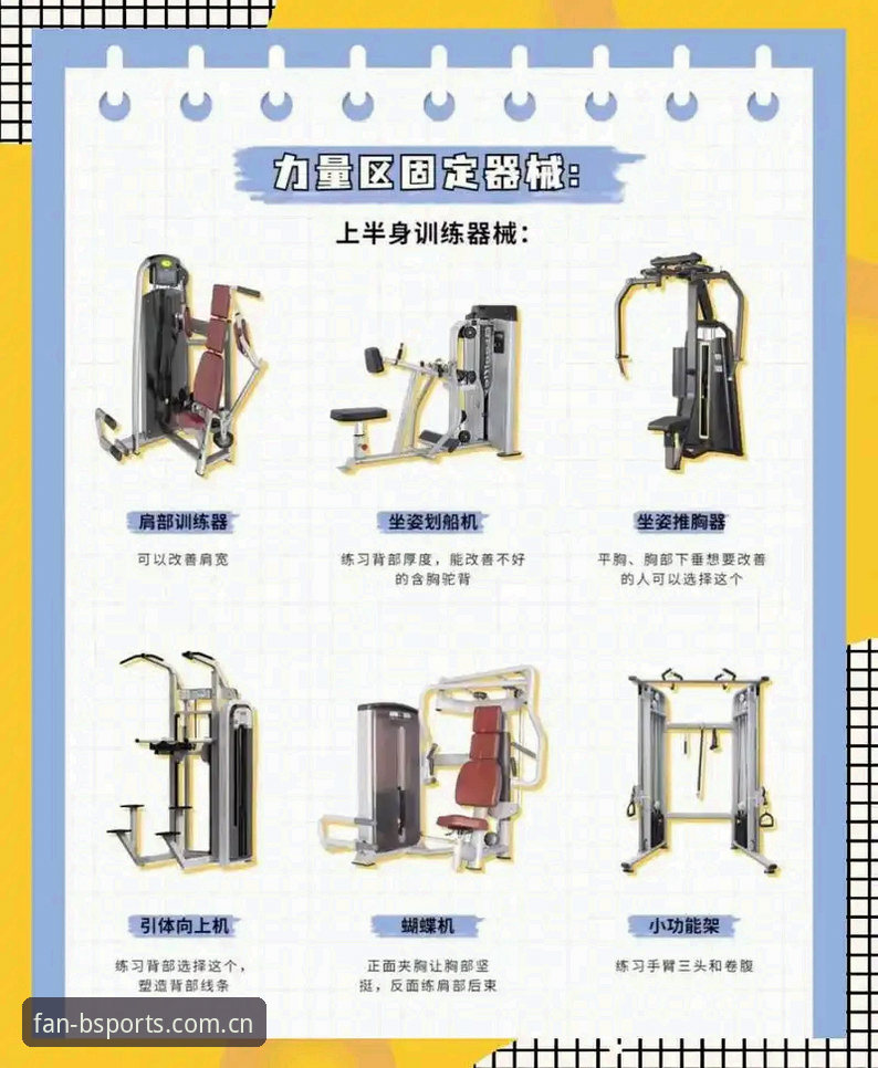 BS体育使用教程功能详解 BS体育使用有什么实用技巧?完整功能详解与操作指南